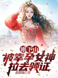 被幸孕女神拉去领证全部目录