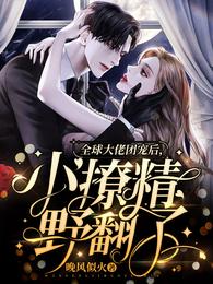 小撩精野翻了阅读