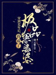 我成了极品恶婆婆txt全本
