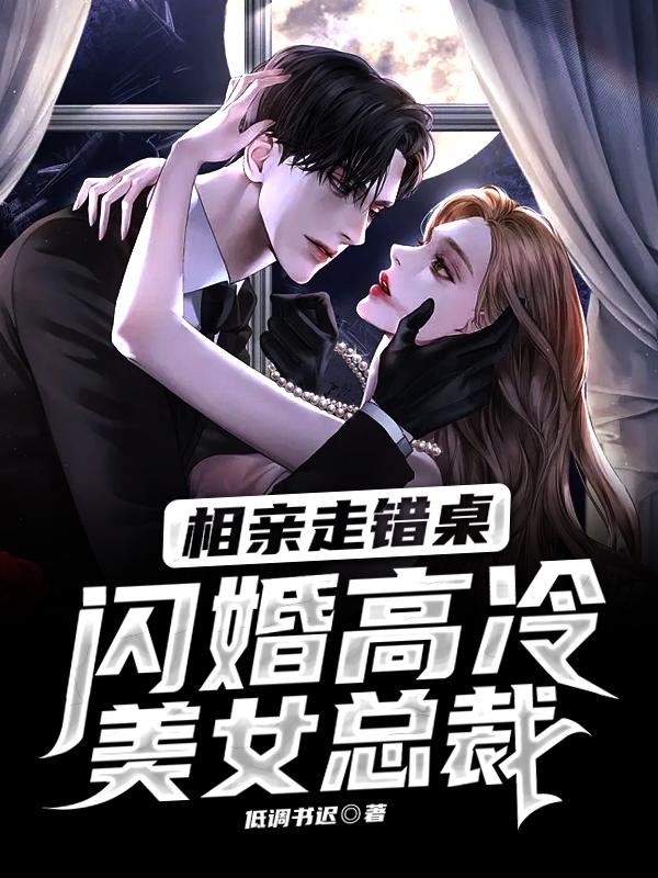 闪婚高冷美女总裁全文免费