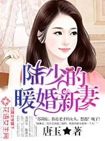 陆少的暖婚新妻TXT百度