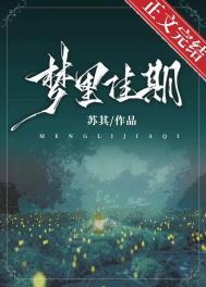 梦里佳期by苏其晋江