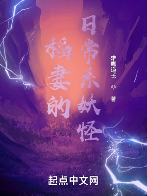 稻妻每日