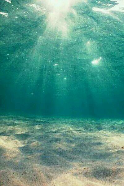 借体重生陆乘风