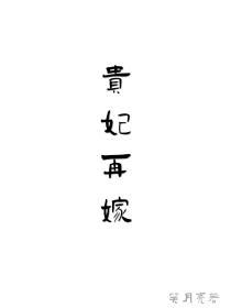 贵妃再嫁笑月亮晋江