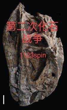 战争雷霆化石爆反