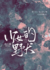少女的野犬txt免费阅读全文
