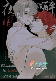 夜风沉醉电视剧全集