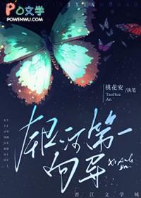 银河第一向导by桃花安