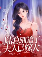 夫人已嫁人陆景洐时念