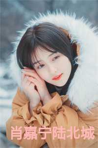 女主叫陆嘉宁的