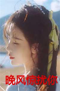 晚风惊扰你大结局