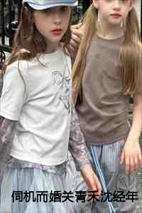 伺机而婚关青禾沈经年全文免费阅读