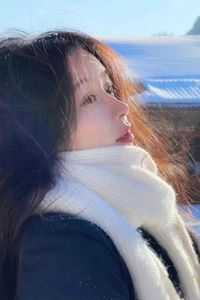 贺强柳如烟方源