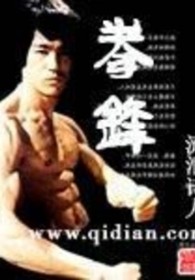 拳锋柔情1-40集免费