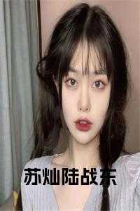 陆战东苏灿免费阅读平台
