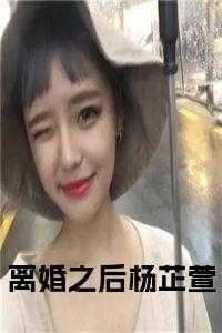 离婚之后简介