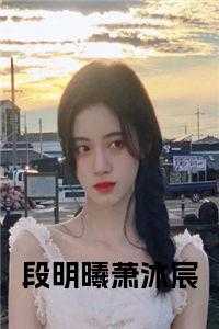 段尧想对沐如岚做什么
