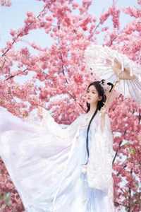 言卿江雪翎女权至上83章
