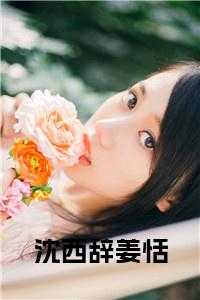 姜恬沈西辞笔趣阁最新