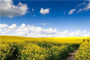 分手后黑化头像