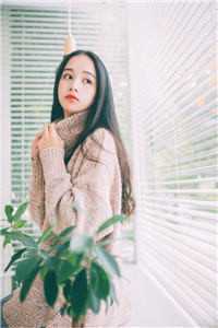 迟淼金圣斐沙雕动画