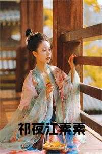 祁夜江素素笔趣阁