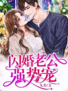 叶向晚跟陆晋南的