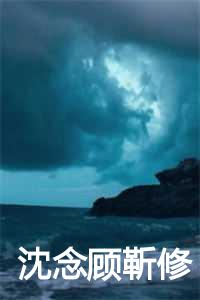 沈念顾靳修作者靳修