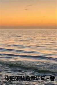 陆琮聿宋昭禾后续