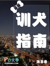 盗版训犬指南讲的什么