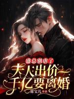 沈颖汐盛淮渊大结局