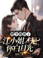 江南傅司珩完整版免费