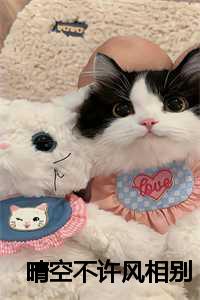 晴空不许风相别短剧全集播放地址