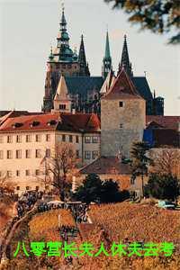 柳书瑜秦川最新章节更新营