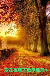 爱在夜幕降临时影评