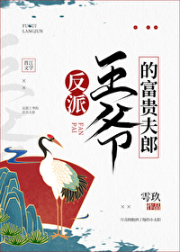 反派王爷的富贵夫郎讲的什么