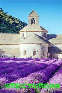 宋锦城在线阅读