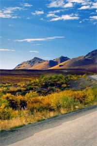 沈祁柳眠眠赵绵绵