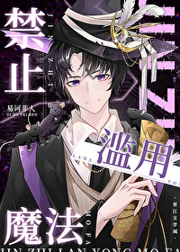 禁止滥用魔法全文阅读
