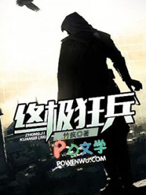 终极兵王在线播放