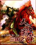 三国之天下霸业何皇后的章节