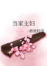 当家主妇电视剧全集