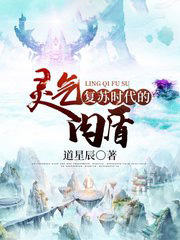 灵气复苏时代的肉盾 道星辰