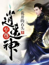 至尊逍遥神男主几个老婆