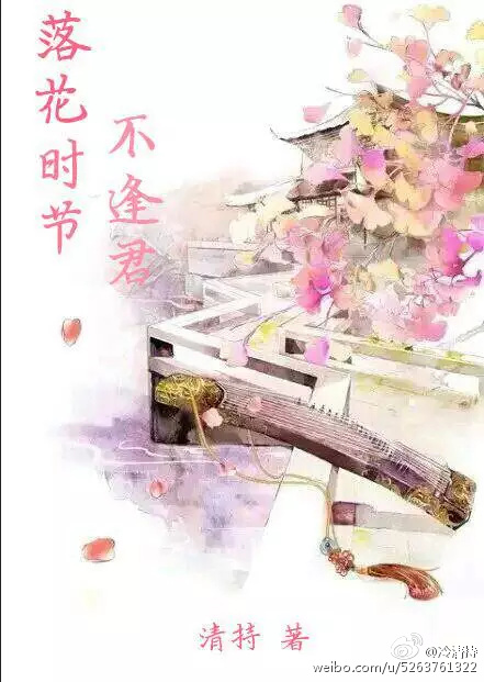 找一本主角叫苏天宇