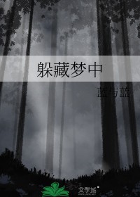 躲藏梦中 txt