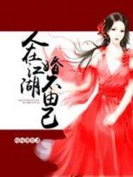 向风柳如云免费观看全集