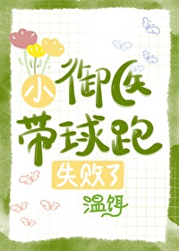 小御医带球跑失败了晋江文学城