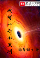 我有一个小黑洞TXT免费阅读